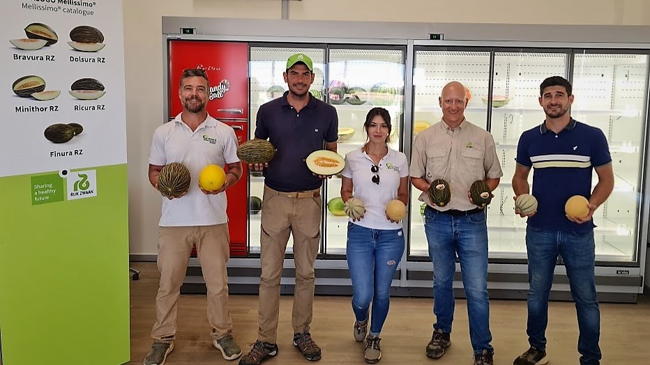 RijkZwaan melones 2023 prs|melon_varietyRZ|Pile de sapo-RZ|20230703_130847-Sandissima-RZ|Tropical-RZ